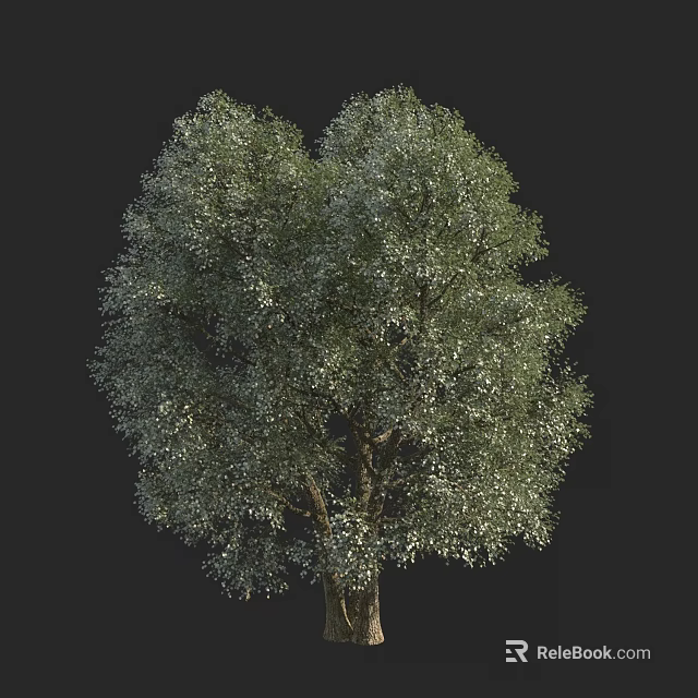 Lush Green Arbor With Dense Foliage And Natural Tree Structure 3d model