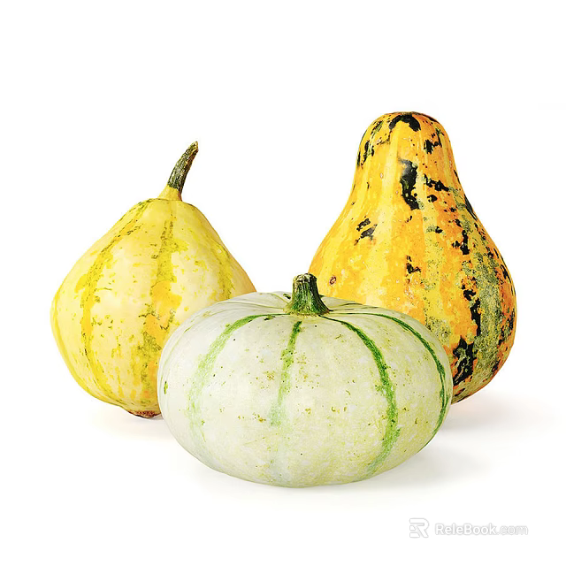 Colorful Fresh Squash Vegetables Showing Yellow White Green Striped And Orange Black Spotted Varieties 3d model 
