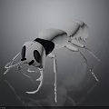 Glossy White Ant 3D Model With Detailed Black Head And Long Antennae