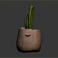 Heart Shaped Green Succulent Plant in Brown Clay Pot with Simple Gray Background