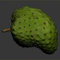 Fresh Green Spiky Tropical Fruit Ripe Exotic Soursop with Textured Skin