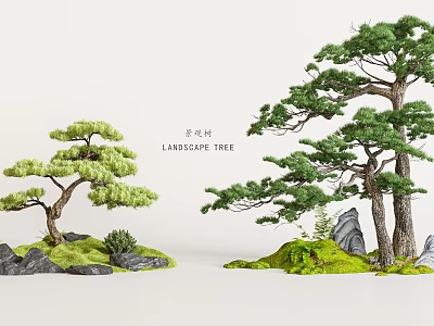 Landscape Trees With Green Foliage And Rock Decorations In Garden Scenery 3d model