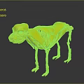 3D Animal Anatomy Model Showing Internal Organs Skeleton Structure And Fur Details