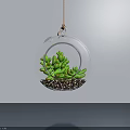 Transparent Circular Hanging Planter With Green Succulent Plants And Pebbles On White Wall