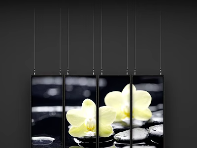 Elegant Botanical Paintings with Yellow Orchids Black Stones and Water Surface Reflections 3d model