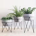 Decorative Plant Pot Arrangement With Gray Containers And Black Metal Stands For Home Decor