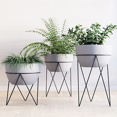 Decorative Plant Pot Arrangement With Gray Containers And Black Metal Stands For Home Decor 3d model