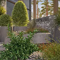 Lush Green Shrub Plants In Modern Outdoor Garden With Stone Walls And Concrete Planters