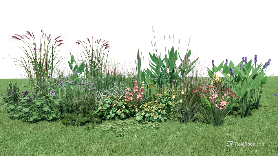 Diverse Aquatic Plants With Lush Greenery And Colorful Flowers In Wetland 3d model 
