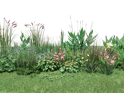Diverse Aquatic Plants With Lush Greenery And Colorful Flowers In Wetland 3d model