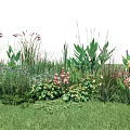 Diverse Aquatic Plants With Lush Greenery And Colorful Flowers In Wetland