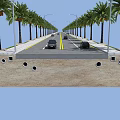 Urban Road Lined With Palm Trees Cars Driving Drainage Holes And Grass On Sides
