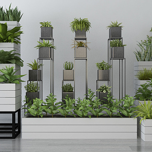 Modern potted plants 3d model