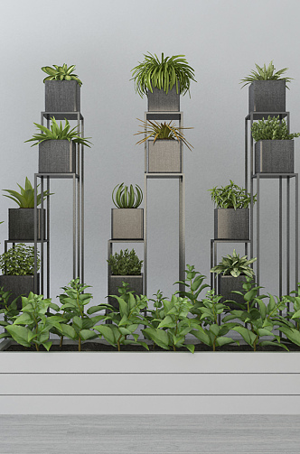 Modern potted plants 3d model