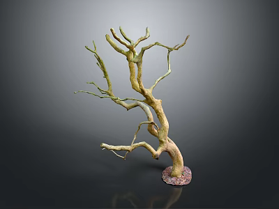 Natural Looking Decorative Dry Tree Branch With Multiple Twigs And Base 3d model