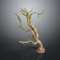 Natural Looking Decorative Dry Tree Branch With Multiple Twigs And Base