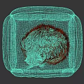 Cozy Turquoise Plaid Pet Bed as Home Decor Accessory Set with Sleeping Ginger Cat