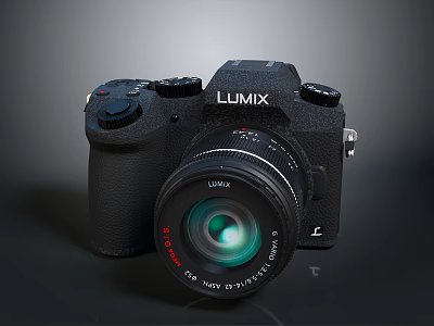 LUMIX Digital Camera With Professional Lens And Ergonomic Body Design 3d model