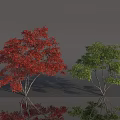 Two Arbor Trees with Red And Green Leaves Standing On Gray Background 3d model