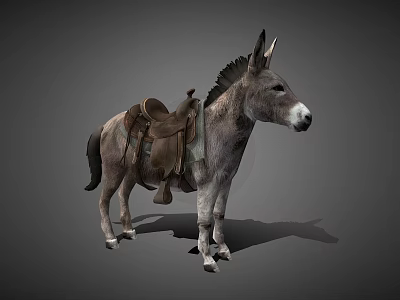 Gray Donkey Standing With Brown Leather Saddle On Gray Background 3d model