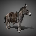 Gray Donkey Standing With Brown Leather Saddle On Gray Background 3d model