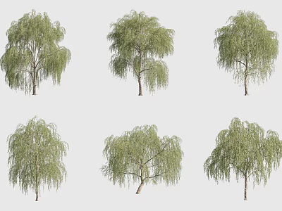Different Forms of Weeping Willow Trees with Lush Green Foliage for Landscape Design 3d model