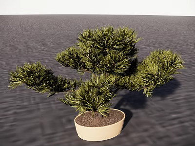 Artistic Pine Bonsai Plant With Lush Green Foliage In Light Beige Pot 3d model