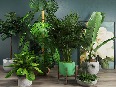 Indoor Potted Plants With Large Leaf Greenery In Various Planters And Modern Decorative Painting 3d model