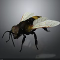 3D Rendered Bee Model With Detailed Wings And Yellow Black Striped Body