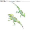 lizard reptiles 3d model