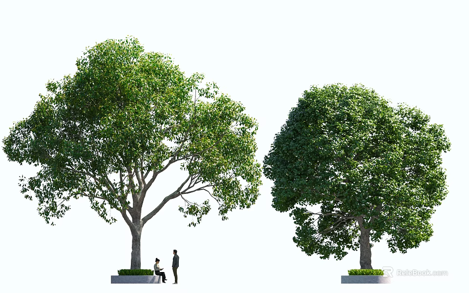Lush Green Trees with People Standing and Sitting Under in Outdoor Landscape 3d model 