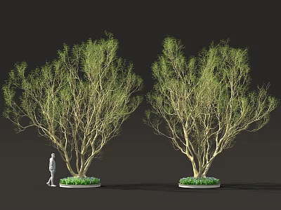 Two Leafy Trees With Green Foliage And Person Standing By Circular Bases 3d model