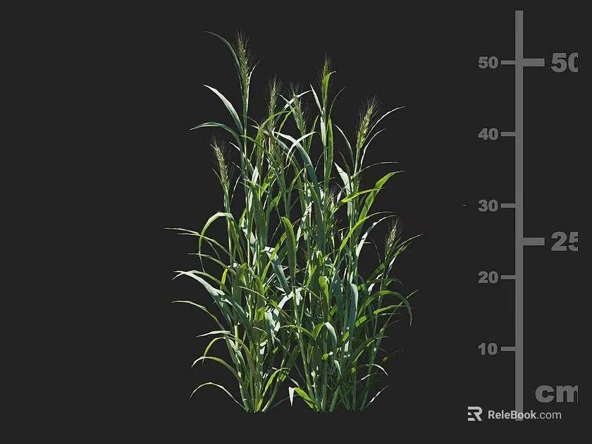 Green Agricultural Crops With Growth Height Measurement And Yield Indicators In cm And Ton 3d model 