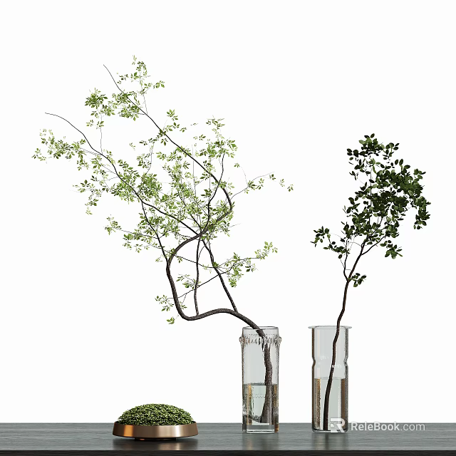 Bonsai Plants in Transparent Glass Vases with Curved and Straight Branches and Green Leaves 3d model 