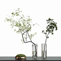 Bonsai Plants in Transparent Glass Vases with Curved and Straight Branches and Green Leaves