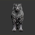 Modern Tiger White Tiger White Tiger 3d model