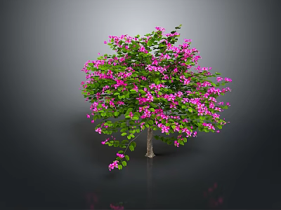 Lush Green Tree With Vibrant Pink Flowers And Foliage On Dark Background 3d model