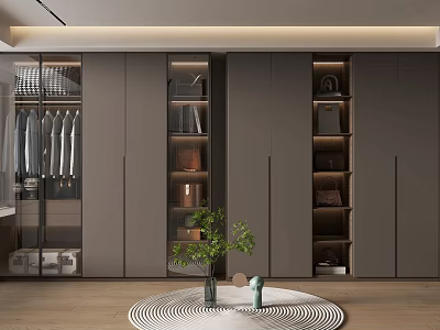Modern Walk in Closet Interior With Gray Cabinetry Glass Doors And Built in Shelves 3d model