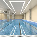 Modern Swimming Pool Swimming Pool Swimming Pool 3d model