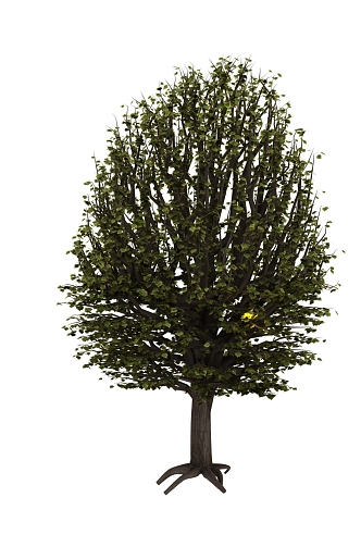 Trees Landscape Trees Street Trees 3d model