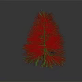 Lush Green Pine Tree Standing Alone In Natural Outdoor Environment With Dark Background 3d model
