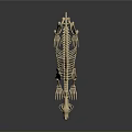 Detailed Animal Skeleton Model With Light Color And Dark Background Reflection 3d model