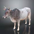Gray And White Cow With Horns Standing On Reflective Surface 3d model
