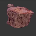Natural Tree Stump With Rough Bark Texture And Wooden Surface Details