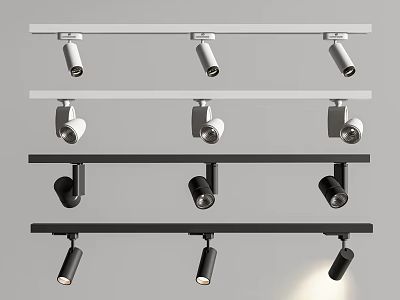 Contemporary Track Mounted Downlights and Spotlights in White Black Finish and Modern Design 3d model