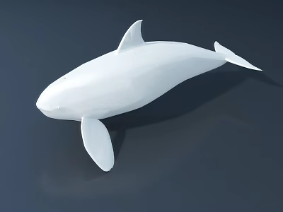White Whale Carved Sculpture With Modern Minimalist Design And Smooth Surface 3d model