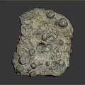 Natural Stone and Wood Decorative Item with Rough Textured Surface and Organic Shape