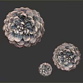 Brown Pine Cones Decorative Set For Home Decor With Reflection Background