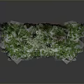 Lush Green Leafy Plants Growing in Rectangular Planter with Red Wheels