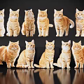 Orange Cats In Various Poses On Black Background With Reflections 3d model